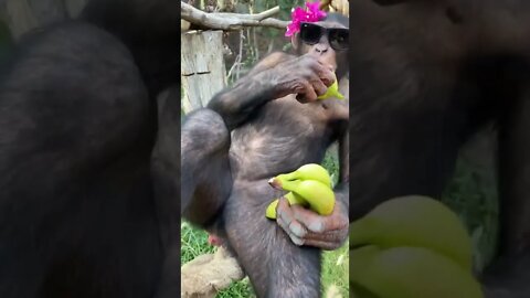 quando a namorada pega folga 🤣🤣🤣