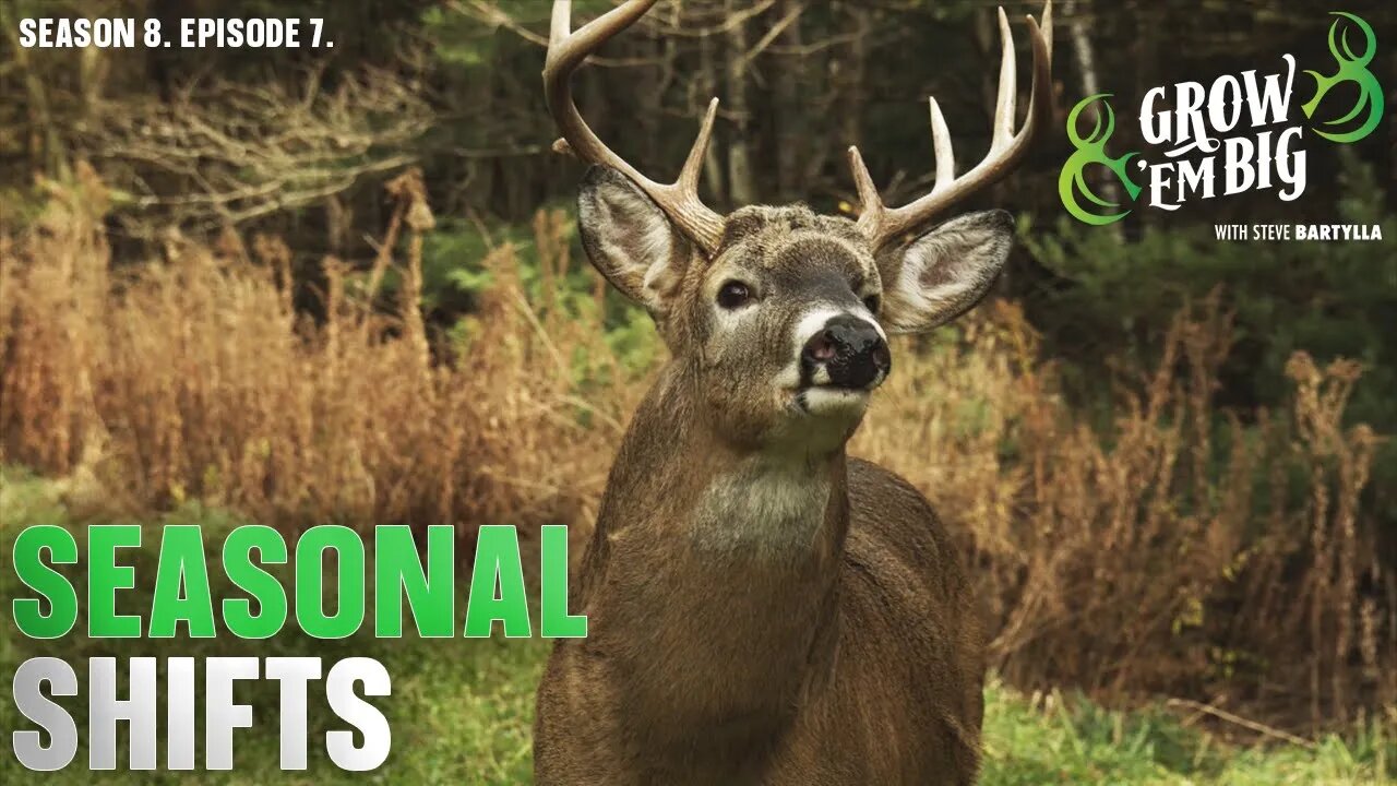 Follow the Seasonal Shifts in Whitetails