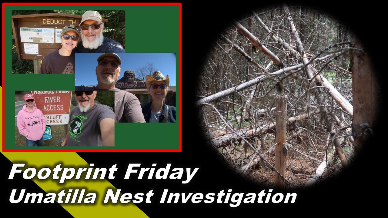 Bigfoot Investigation in Umatilla National Forest