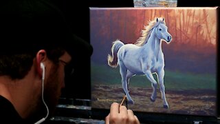 Acrylic Wildlife Painting of a Galloping White Horse - Time Lapse - Artist Timothy Stanford