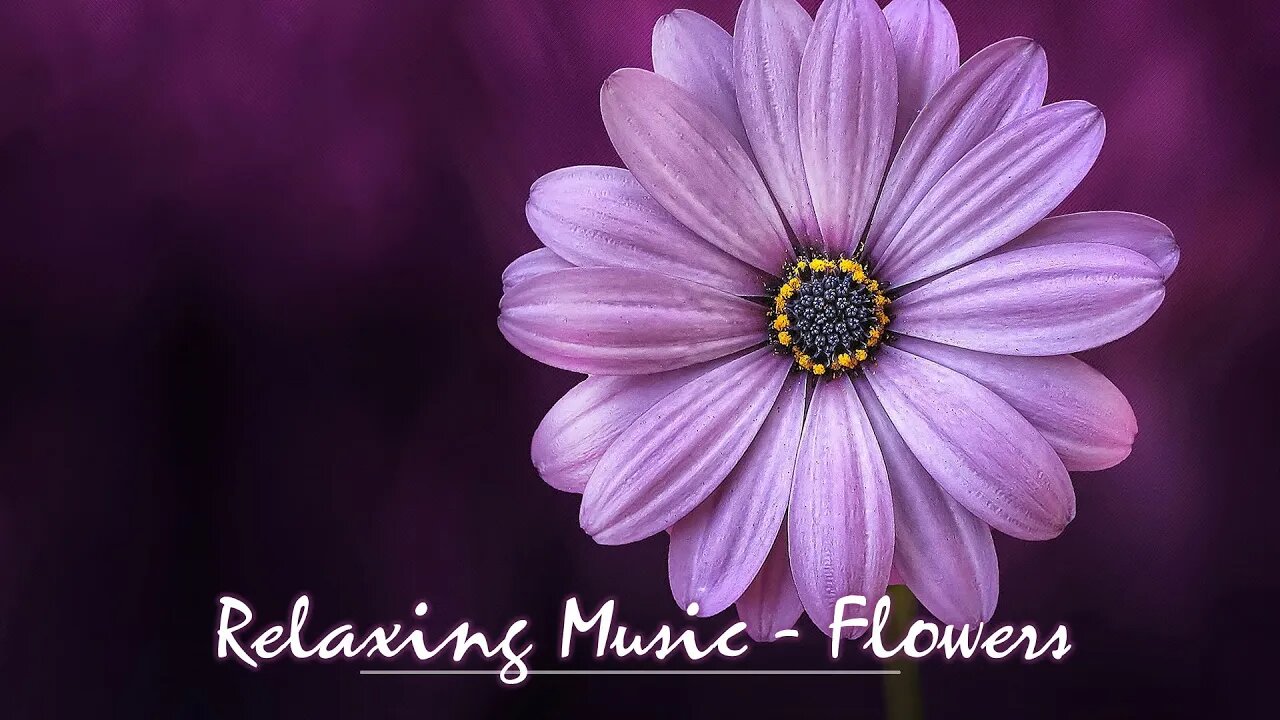 Relaxing Music to soothe and nourish your soul - "Flowers"