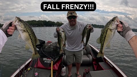 FALL FEEDING FRENZY!