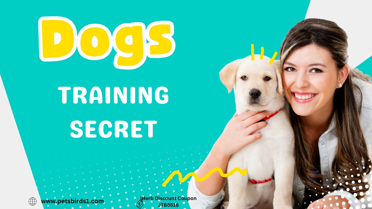 The Ultimate Guide to Dog Training #pets_birds