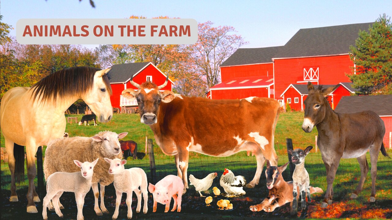 Animals on the farm | Farm Animals For Kid #farm #animalsounds