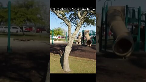 East Bay Park pt 4 #shorts #park #travel #discover #explore #outdoors #southcarolina #walk #exercise