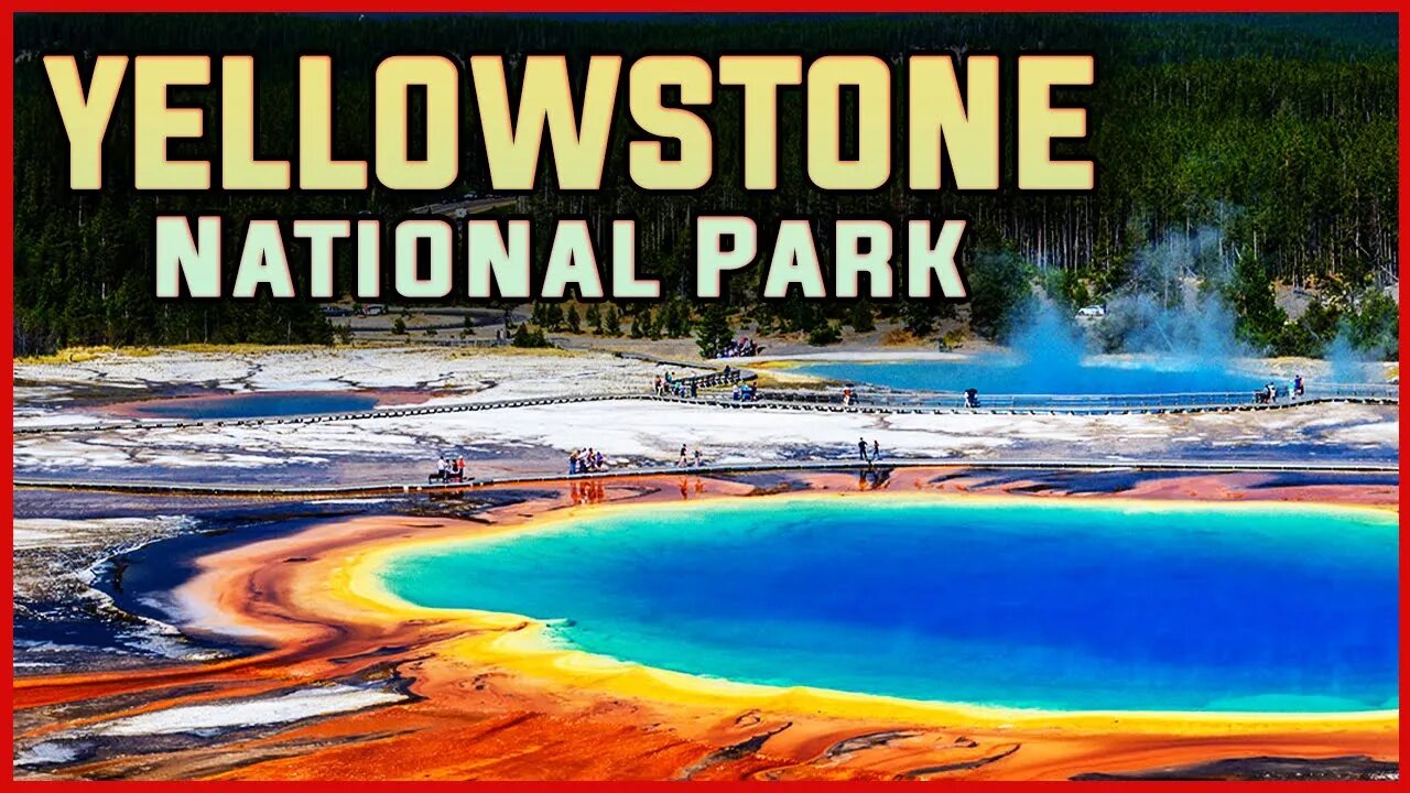 SPLENDOR OF NORTH AMERICAN WILDERNESS | YELLOWSTONE NATIONAL PARK | WILDLIFE | TRAVEL | ADVENTURE