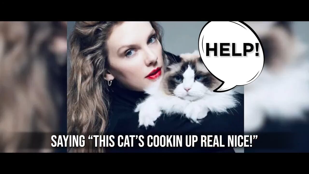 If you thought Taylor Swift was a sad, unmarried cat lady, you're right. Her latest single!