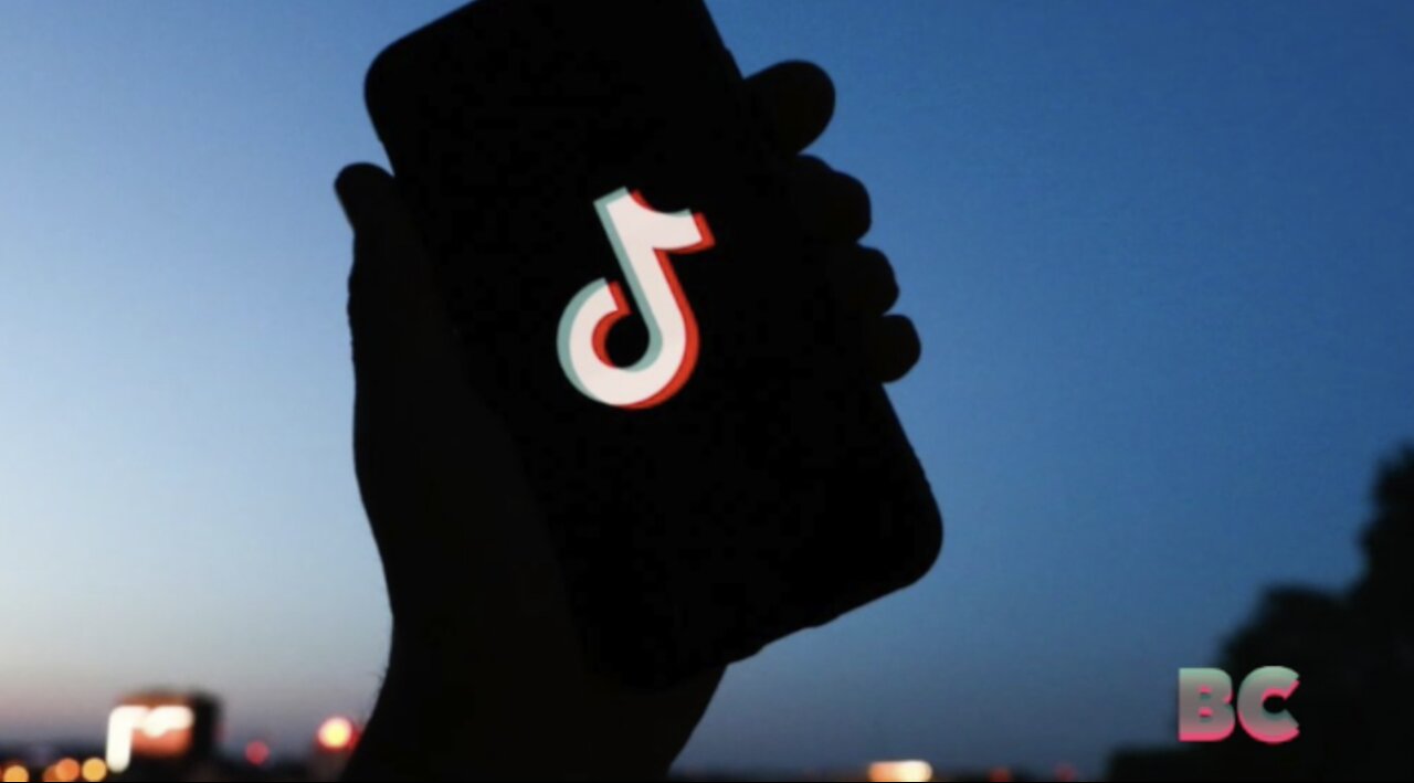 TikTok is being banned for some government employees