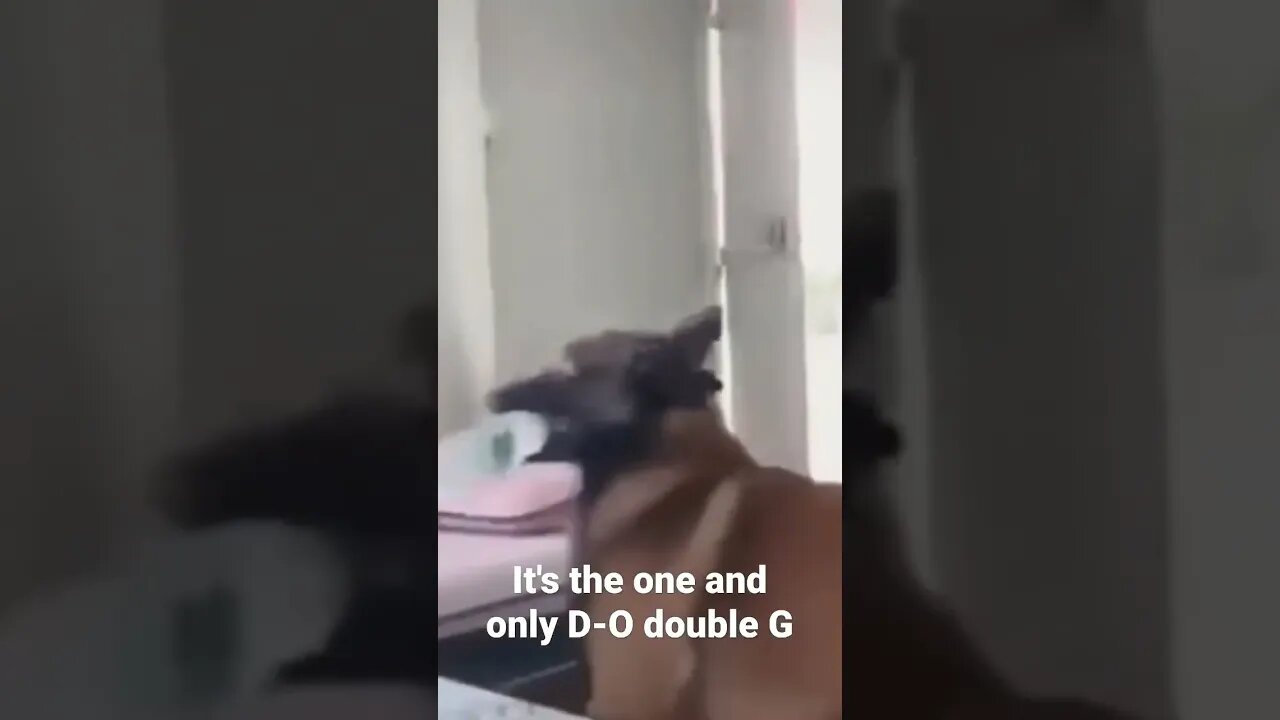 It's the one and only D-O double G #shorts