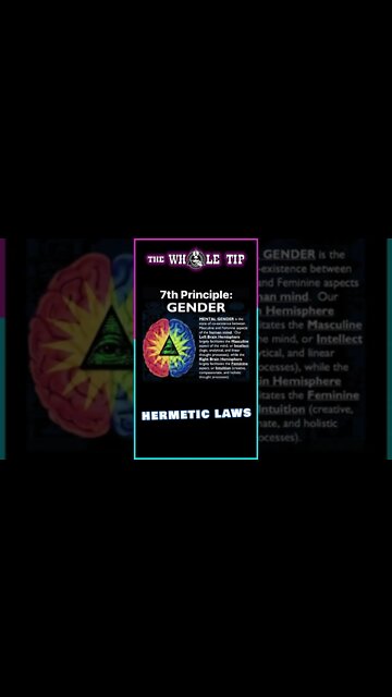 HERMETIC LAWS VII GENDER - the Whole Tip Daily #shorts