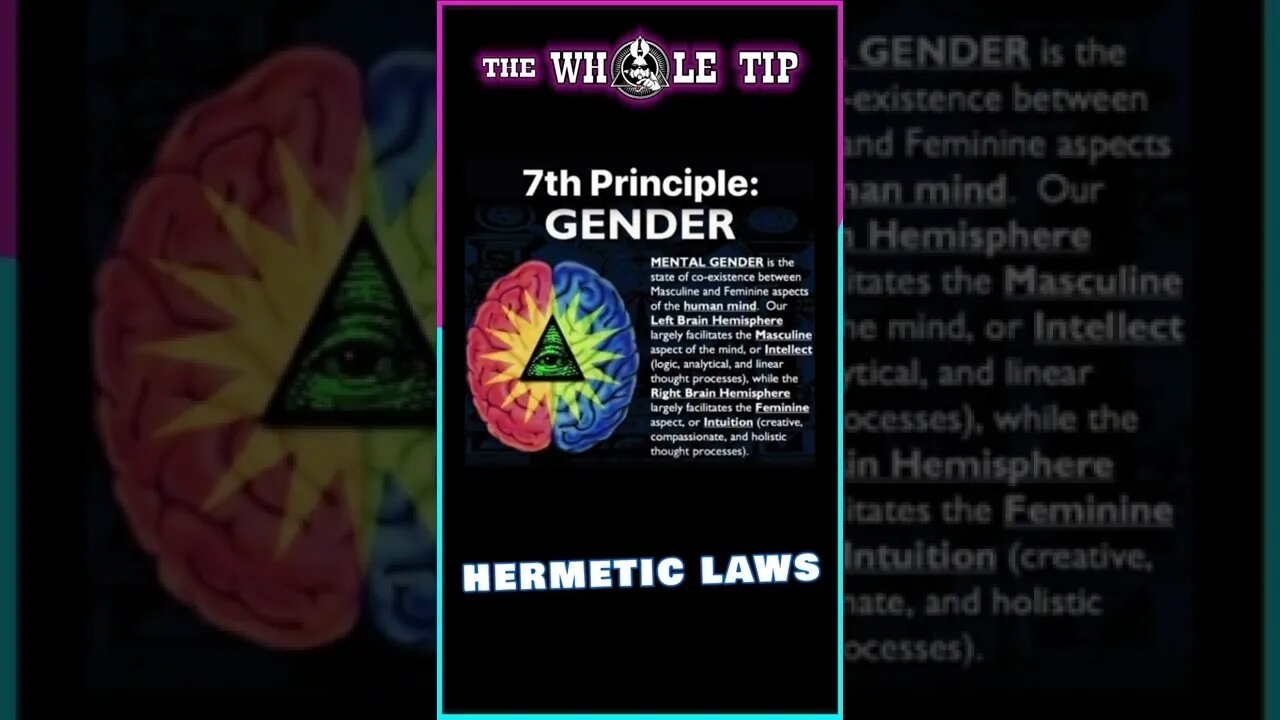 HERMETIC LAWS VII GENDER - the Whole Tip Daily #shorts