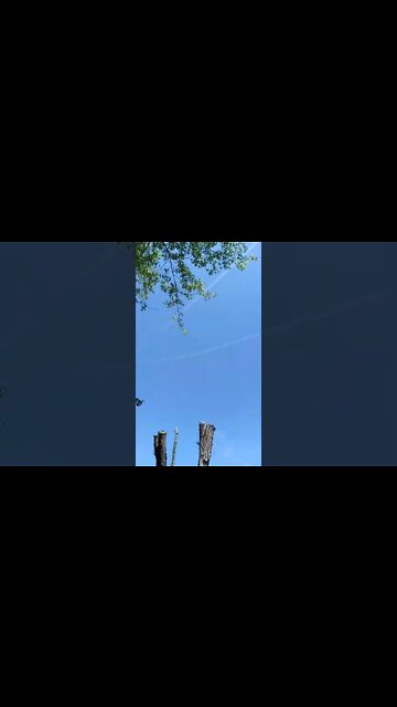 Well...There goes the neighborhood 😕