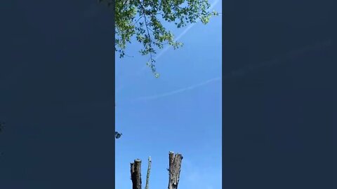 Well...There goes the neighborhood 😕
