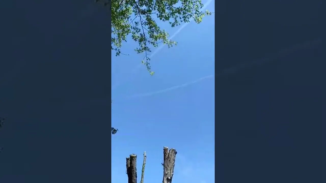Well...There goes the neighborhood 😕