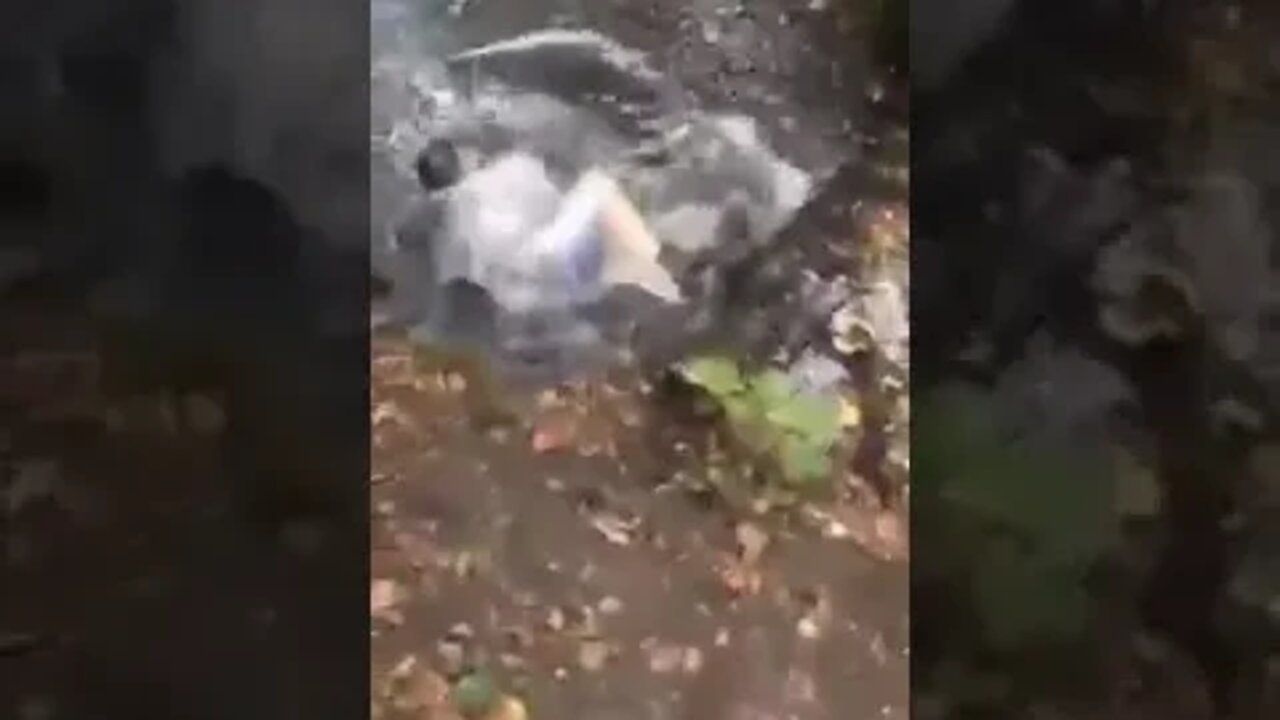 Lad Takes A Long Fall Into A River While Friends Laugh Hilariously