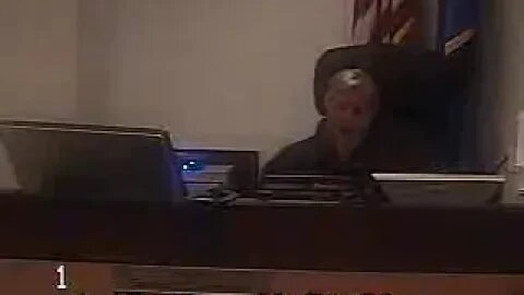 Cruz matter Clark County Family Court Judge Sandra Pomrenze 4 18