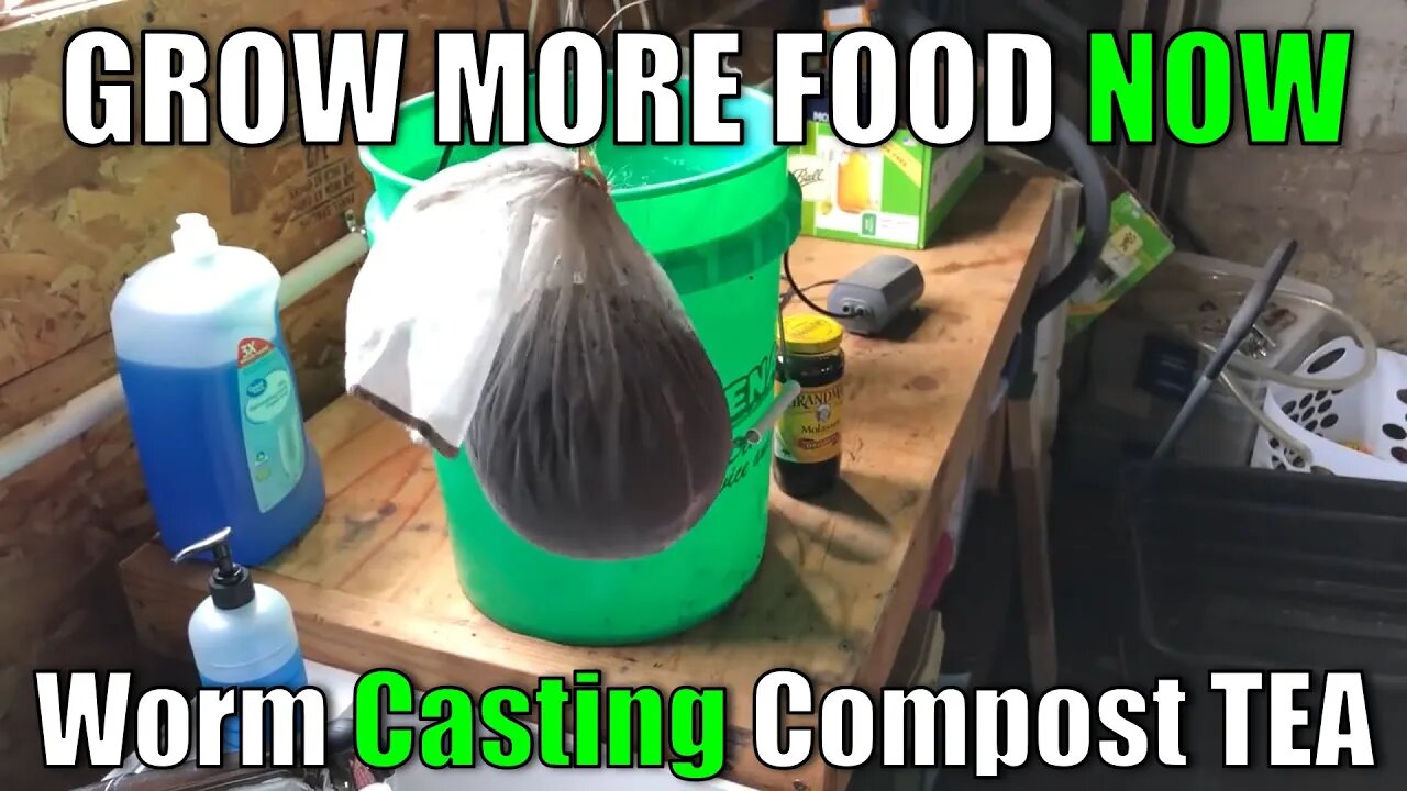 Grow More FOOD NOW with WORM CASTING COMPOST TEA