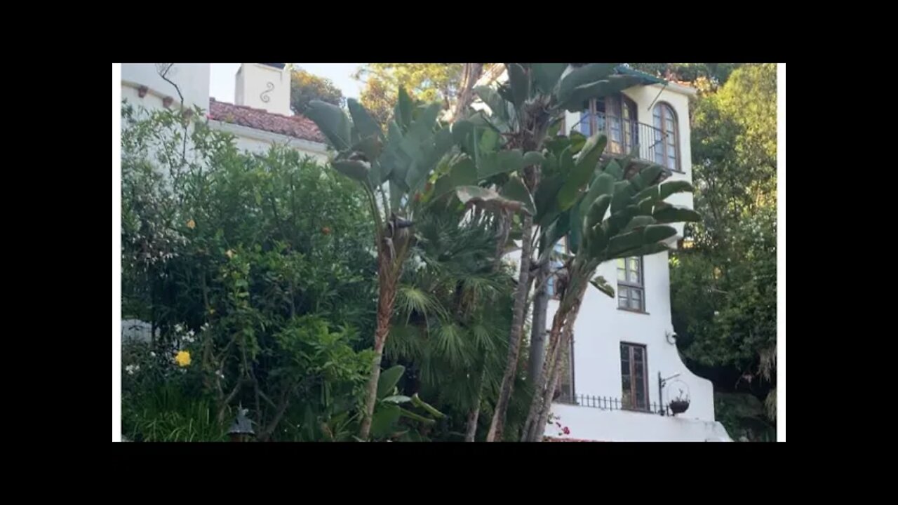 Johnny Depp’s Sweetzer Avenue Houses! ~ A Beautiful Day in The Neighborhood! ✨🌳🏘🌳✨