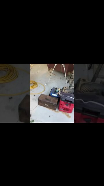 What's the strangest item in your shop? #shorts