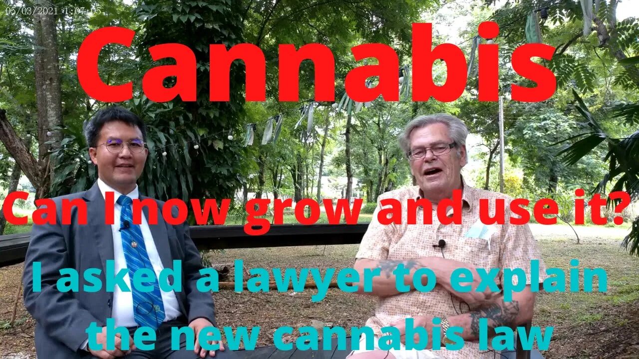 THE CANNABIS LAW EXPLAINED BY A LAWYER