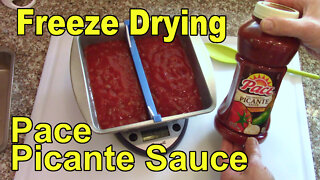 Freeze Drying Pace Picante Sauce