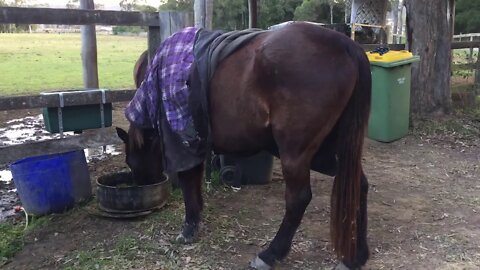 Penny putting on weight