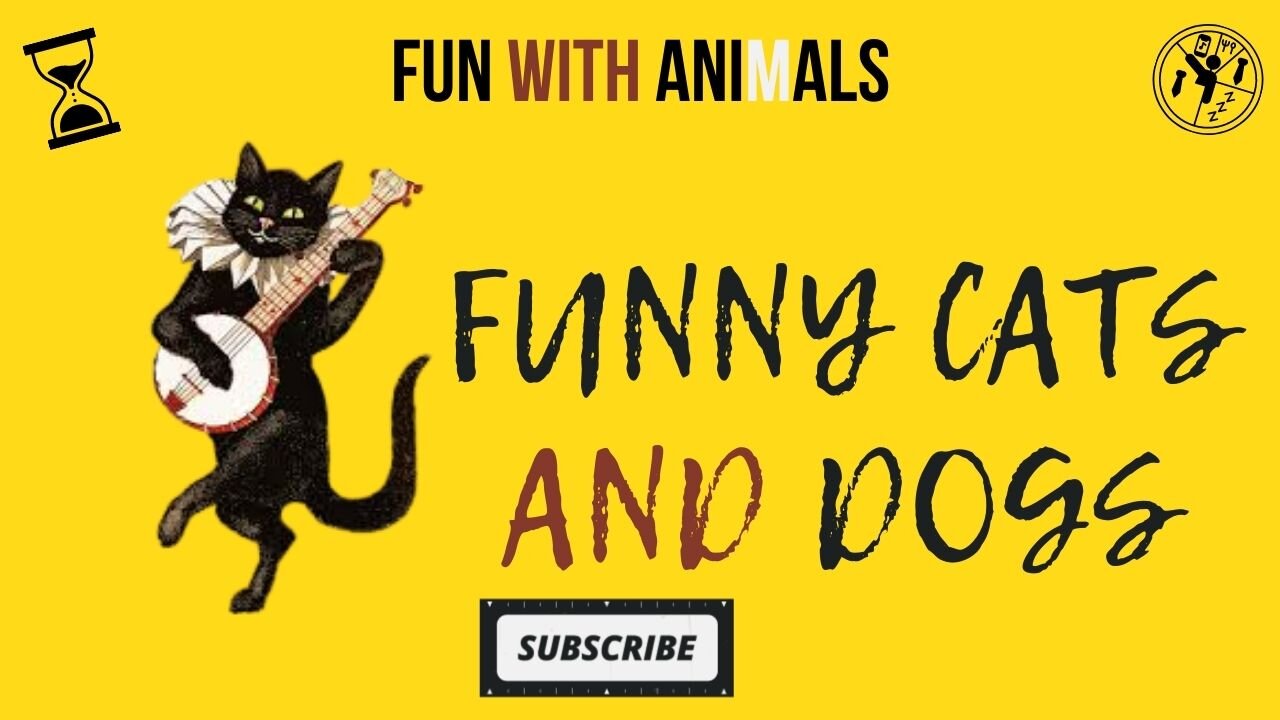 Animals Crazy Moments | Episode 046
