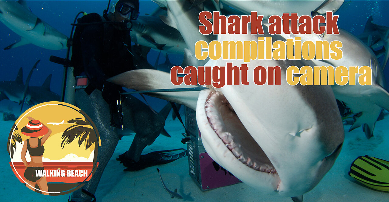 Shark Attacks Caught On Camera - compilation