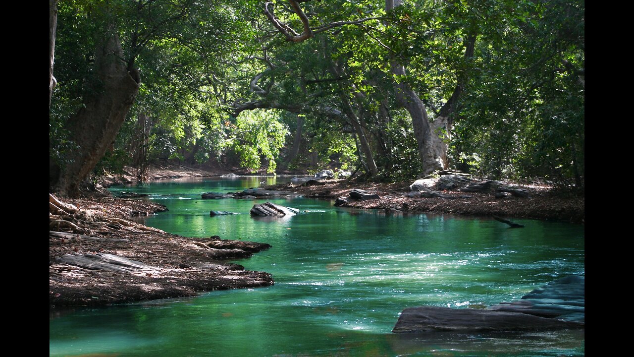 Water sound, peaceful sound, nature stream water trickling beach