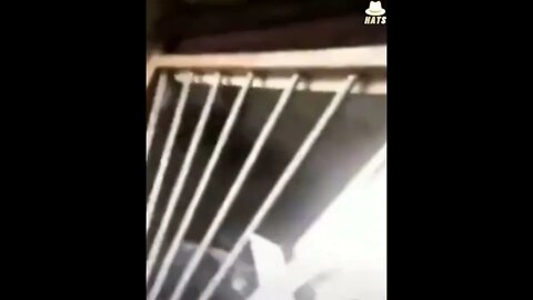 ۲۸ اوت ۲۰۲۲