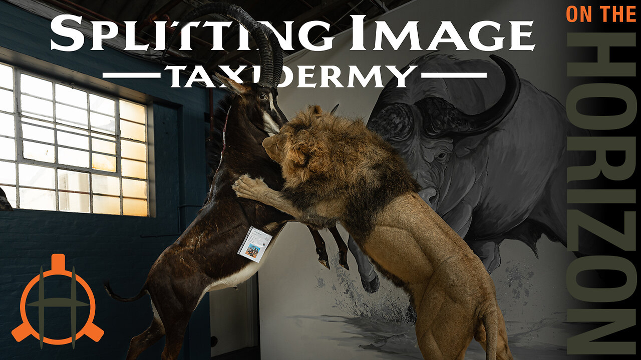 A Tour of Splitting Image Taxidermy in Africa | On the Horizon Podcast Ep. 56