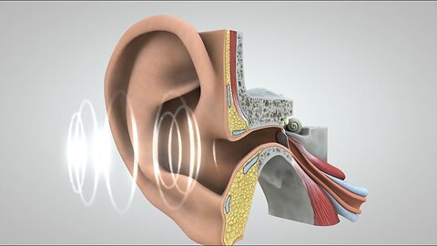 Hearing Health
