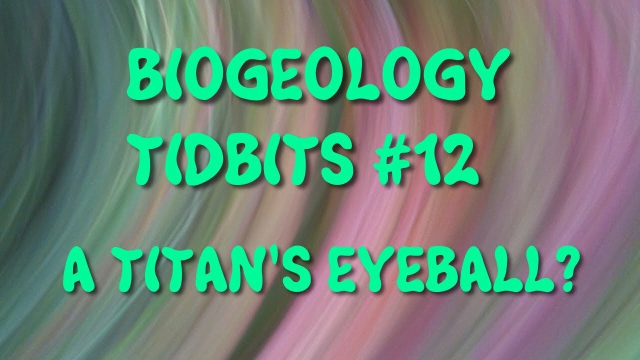 Notizie di biogeologia n.12 - Un bulbo oculare di titano ?
