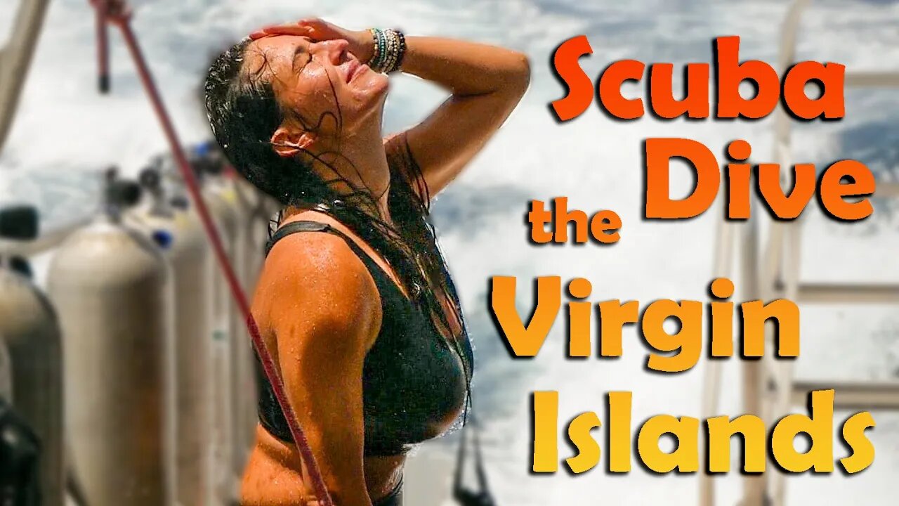 Diving in the Virgin Islands - S6:E36