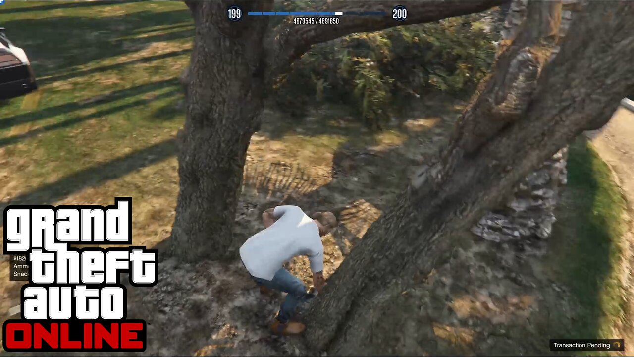 GTA Online G's Cache Location Day 29