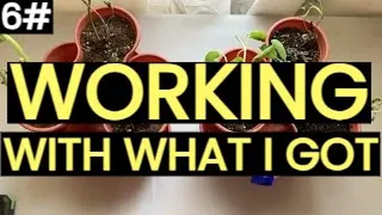 Frugal Living Vlog - Frugal - Frugal Living Tips - Frugal Tips - Frugal Living Tips To Save Money