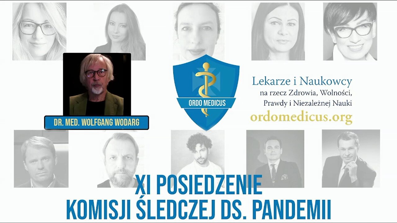 XI Posiedzenie Komisji śledczej - dr med. Wolfgang Wodarg