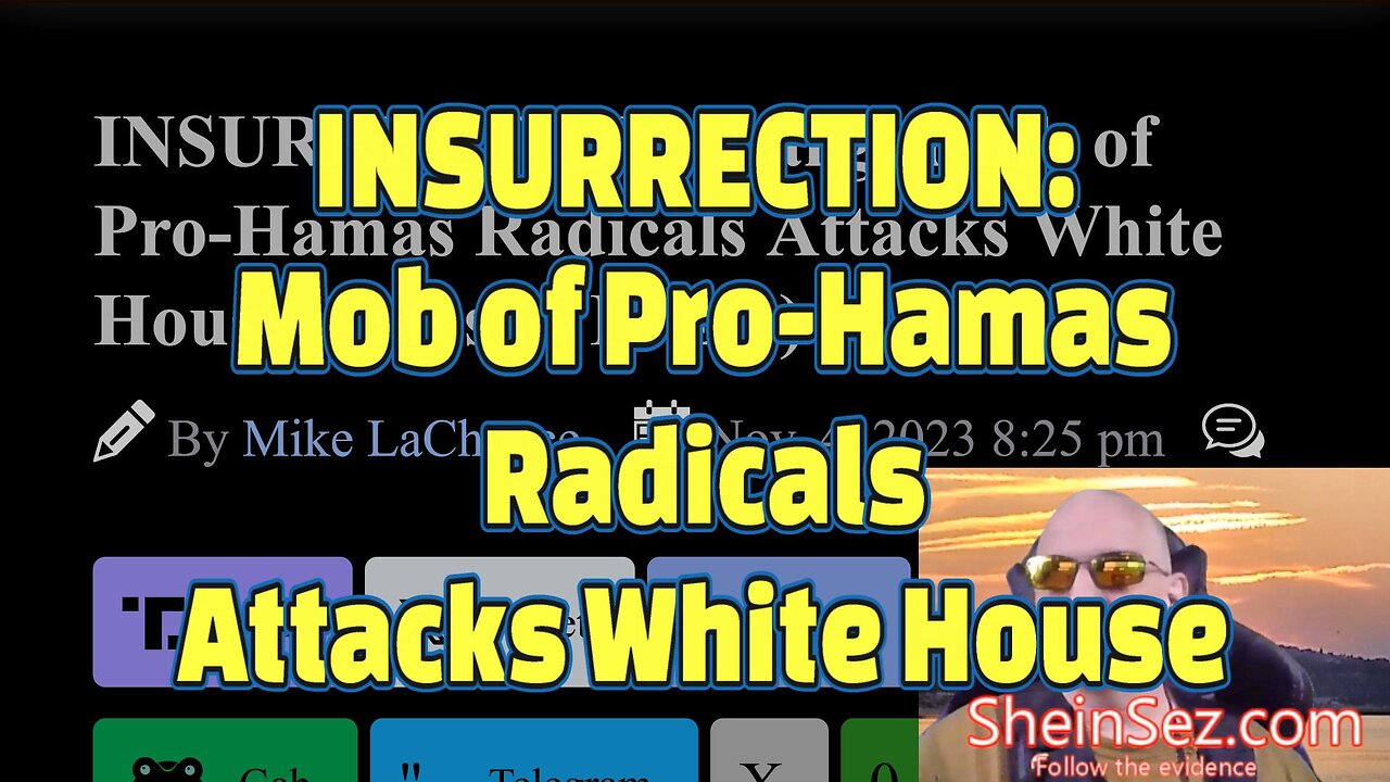 INSURRECTION: Large Mob of Pro-Hamas Radicals Attacks White House -SheinSez 343