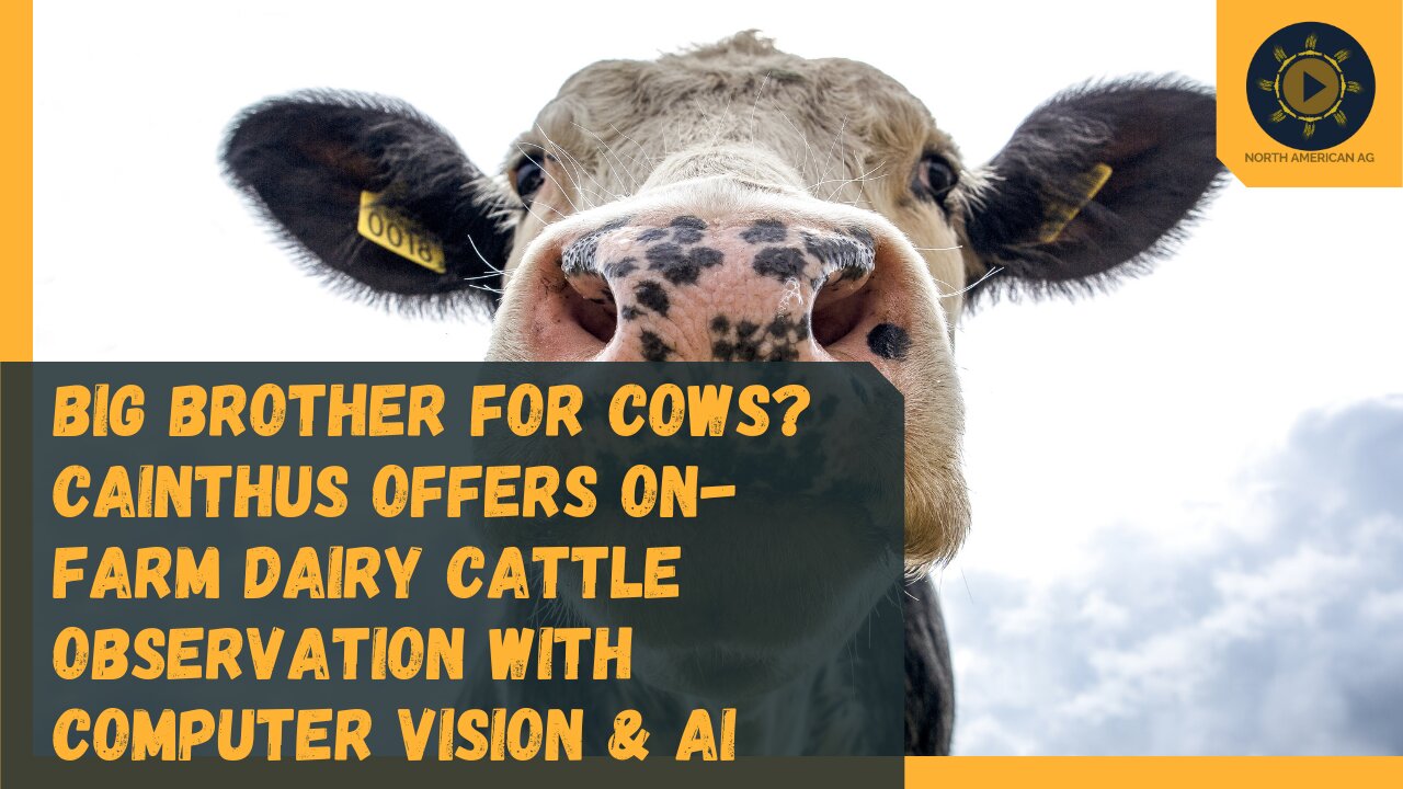 Big Brother for cows? Cainthus offers on-farm dairy cattle observation with computer vision & AI