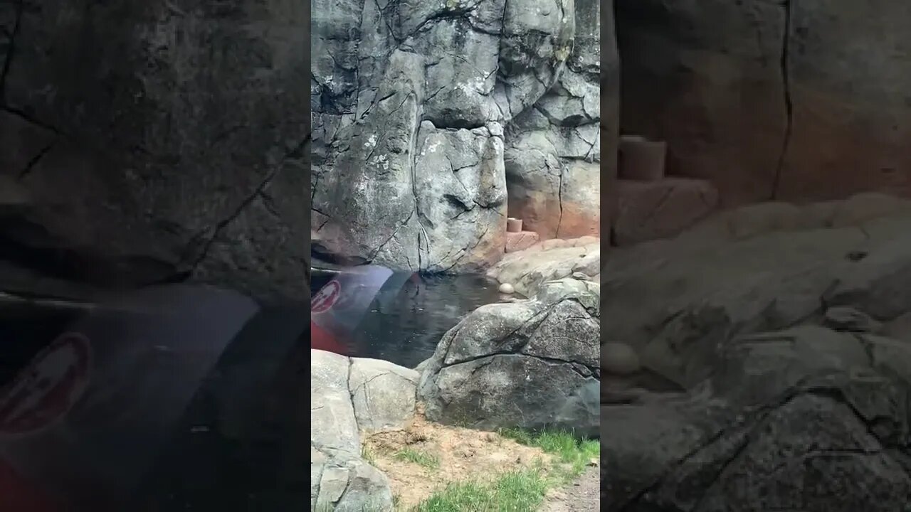 Zoo