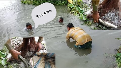 Catching fish from River