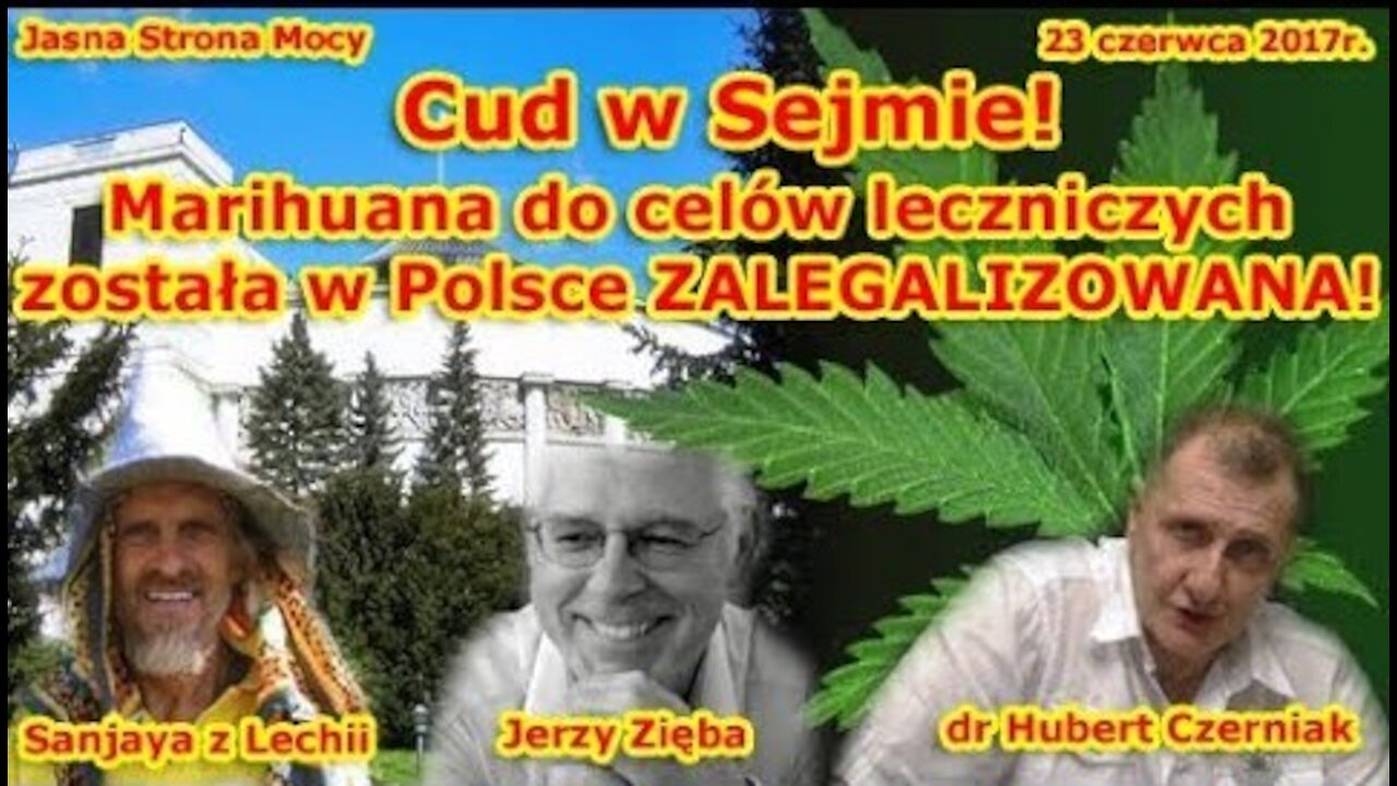 Konopie - Marihuana. Cudowna lecznicza roślina, od tysięcy lat służy ludziom