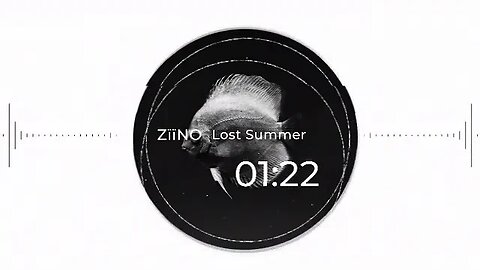 Ziino - Lost Summer (Visualizer)