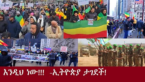 እንዲህ ነው!!! -ኢትዮጵያ ታገደች!አርቲስቱ ፋኖን ተቀላቀለDereNews Nov 10.2024