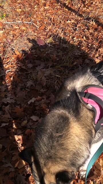 Saturday Oct 26, There are six things, the Lord hates.