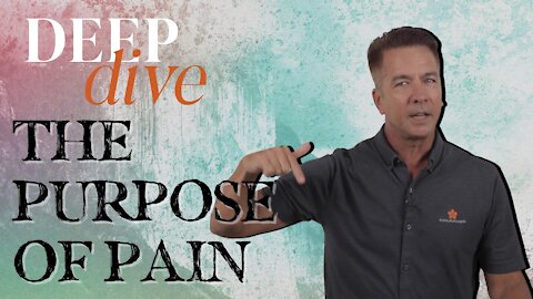 Deep Dive into The Purpose of Pain