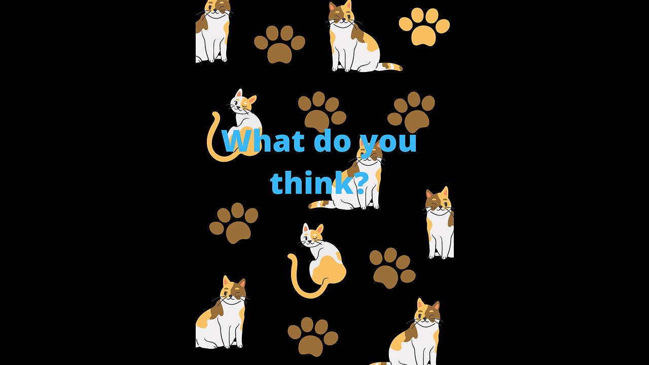 Pleasant cat