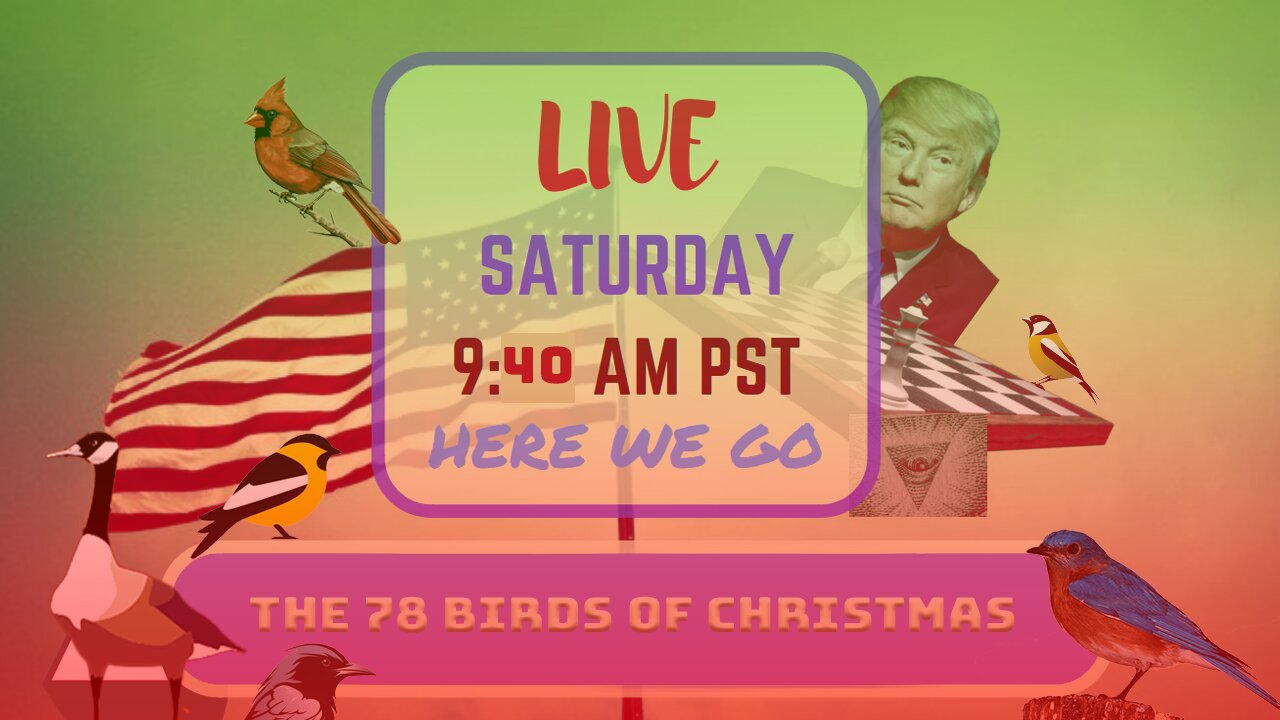 Saturday *LIVE* The 78 Birds of Christmas Edition