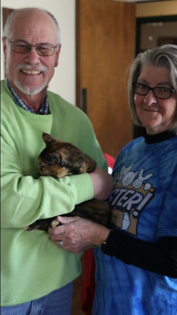 Glendale couple has fostered 306 cats in 12 years