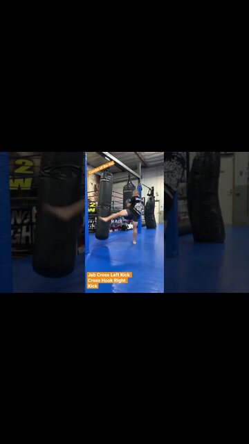 Heavy bag Combo Jab Cross Switch Kick Cross Hook Right Kick
